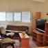 Comfort apartments, STUDIO PLUS  apartman  , privatni smeštaj u mestu Šušanj, Crna Gora